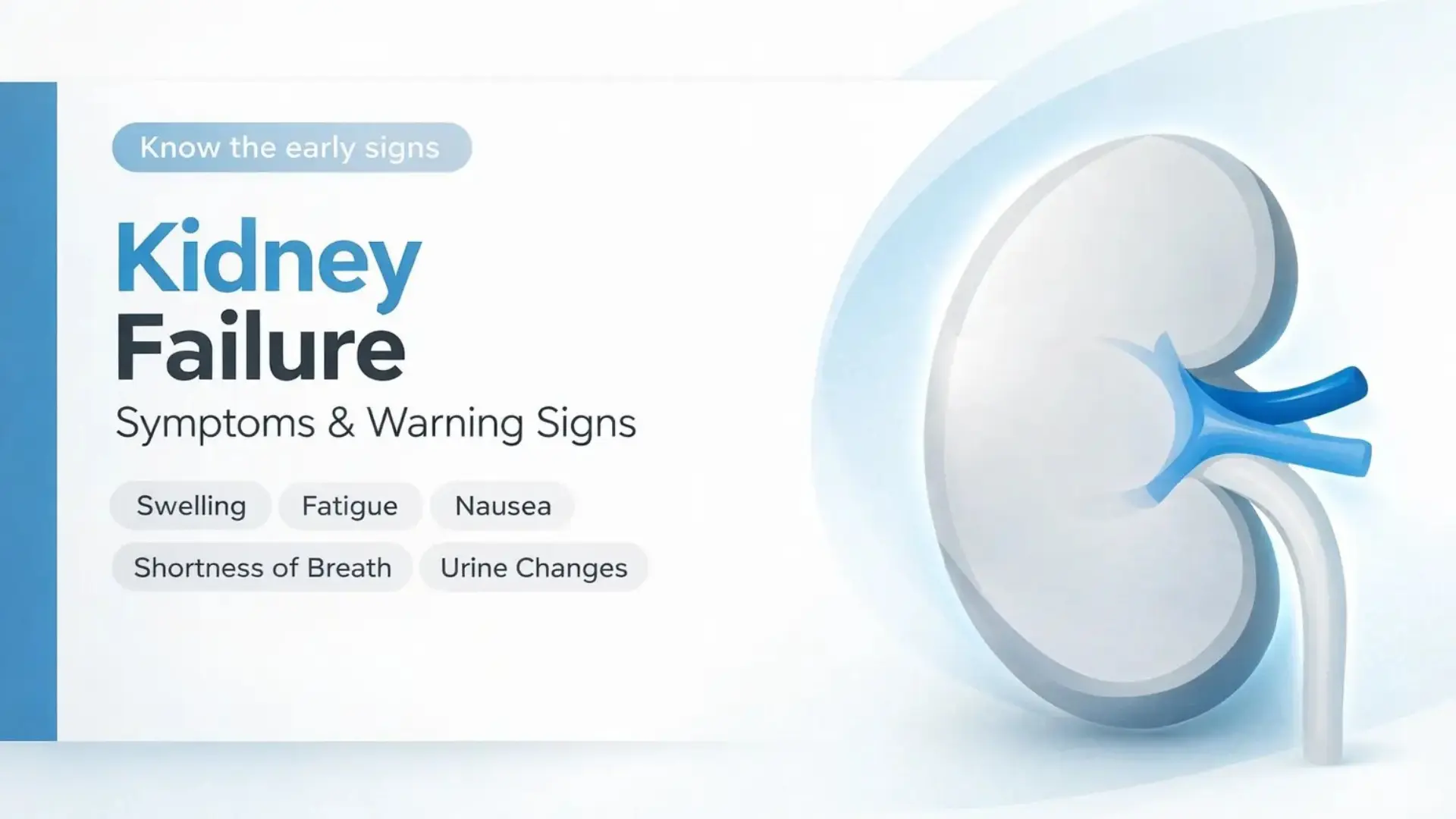 Kidney failure symptoms and warning signs graphic showing a kidney illustration with key early signs listed: swelling, fatigue, nausea, shortness of breath, and urine changes.