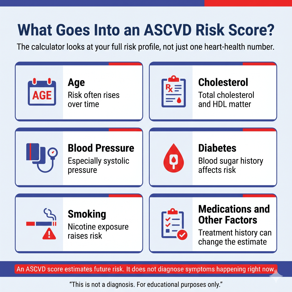 ASCVD Risk Calculator: What Your Score Means, What Affects It, and When Symptoms Need Urgent Care 1 Infographic titled “What Goes Into an ASCVD Risk Score?” explaining that the calculator looks at a person’s full risk profile, not just one heart-health number. It lists factors including age, cholesterol, blood pressure, diabetes, smoking, and medications or other treatment history. A bottom note says an ASCVD score estimates future risk and does not diagnose symptoms happening right now.