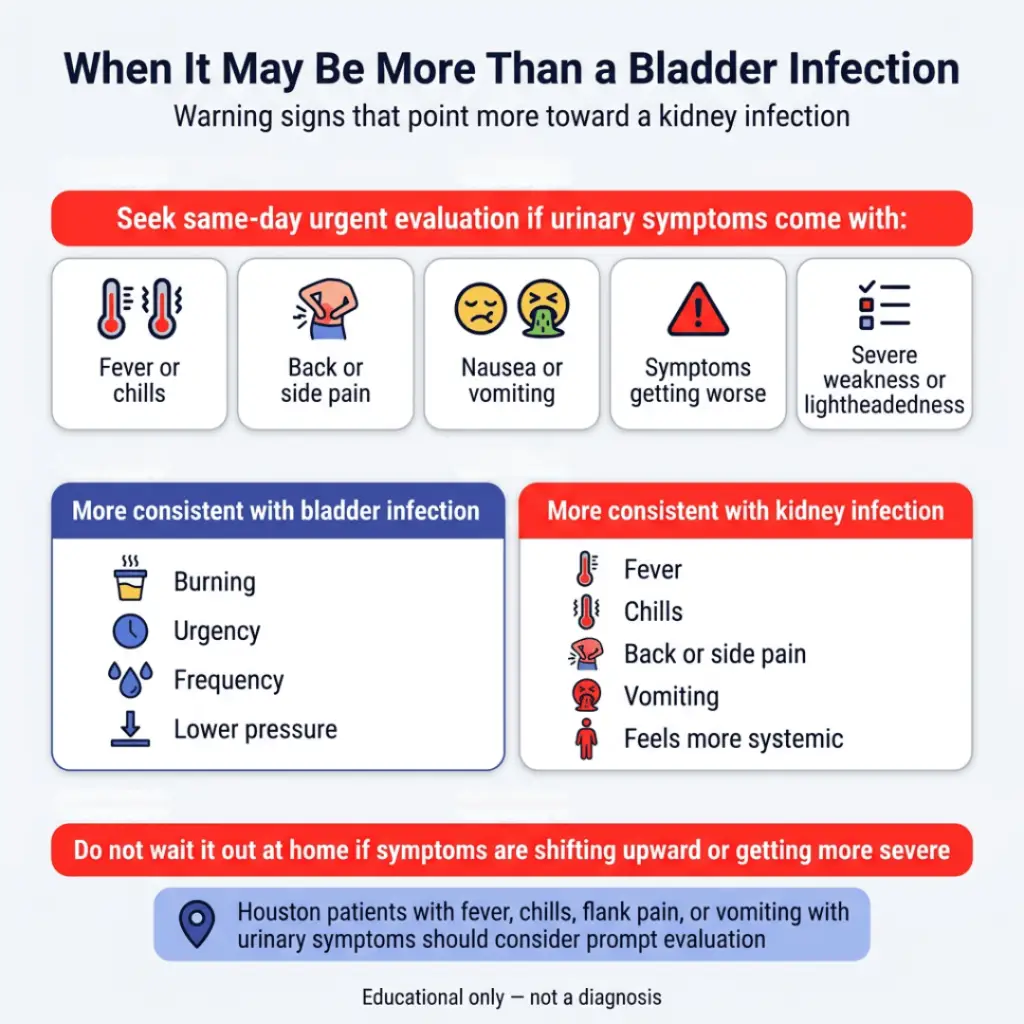 Kidney Infection vs Bladder Infection: What’s the Difference? 2 Infographic titled “When It May Be More Than a Bladder Infection” explaining warning signs that suggest a kidney infection, including fever or chills, back or side pain, nausea or vomiting, worsening symptoms, and severe weakness or lightheadedness. It contrasts typical bladder infection symptoms like burning, urgency, frequency, and lower pressure with kidney infection symptoms such as fever, chills, flank pain, vomiting, and feeling more systemic, and advises prompt evaluation if symptoms are becoming more severe.