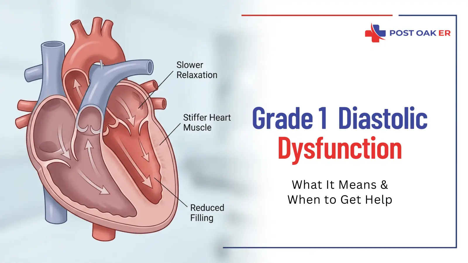 Medical heart illustration showing slower relaxation, stiffer heart muscle, and reduced filling, with Post Oak ER text about grade 1 diastolic dysfunction.