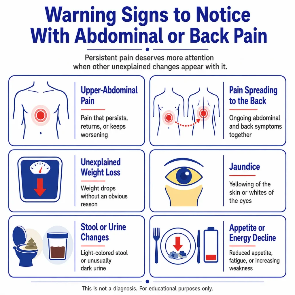 Pancreatic cancer warning signs infographic showing persistent upper abdominal pain, back pain, unexplained weight loss, jaundice, stool or urine changes, and reduced appetite or energy.